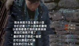 屯子最新爆料视频播放